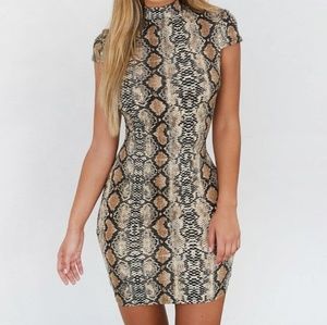 NWT I Am Gia Aoki Snakeskin Dress